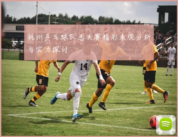 杭州乒乓球队总决赛精彩表现分析与实力探讨